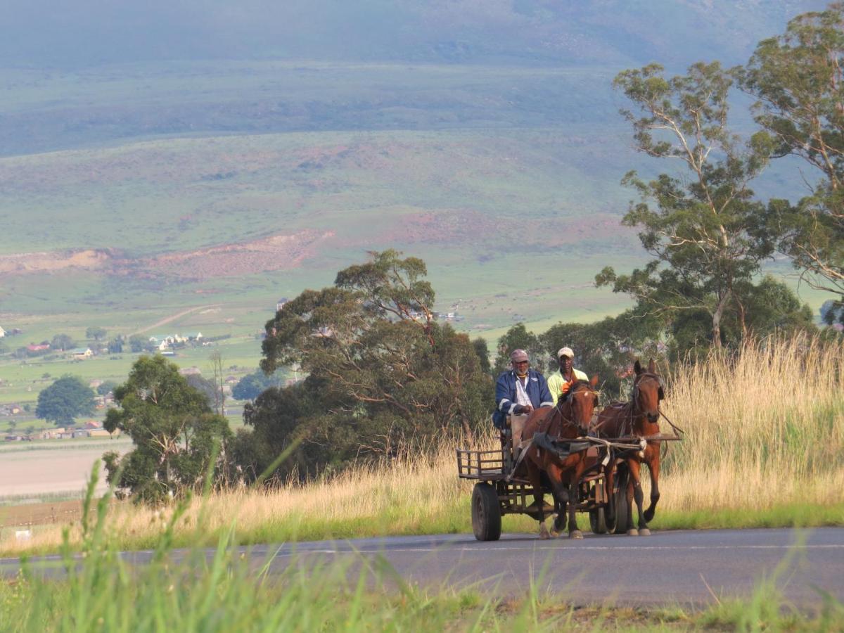Dekotzenhof Hotel Wakkerstroom ภายนอก รูปภาพ
